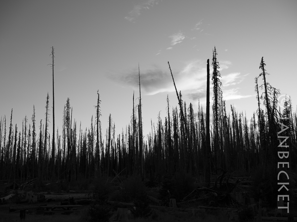Cascade Creek 2012, 9-22#2