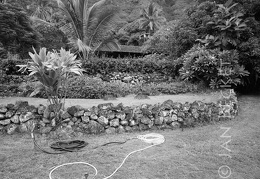 Site 304  in Kaʻaʻawa, 1994