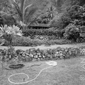 Site 304  in Kaʻaʻawa, 1994