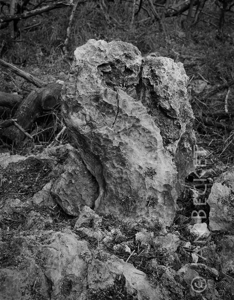 An unusual upright stone in area 3216, bulldozed.