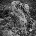 An unusual upright stone in area 3216, bulldozed.