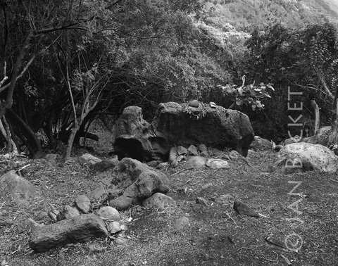 North Hālawa 85 - An unusual notched stone