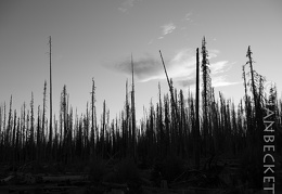 Cascade Creek 2012, 9-22#2