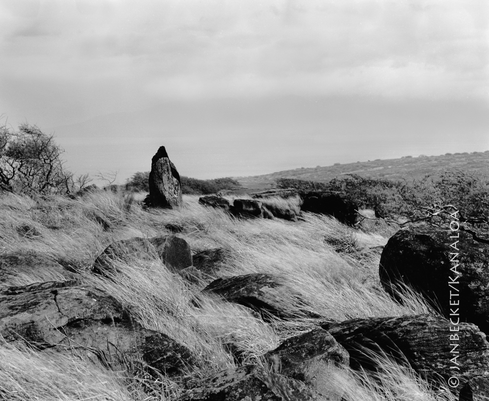 Puʻu Moiwi adz quarry, 1994