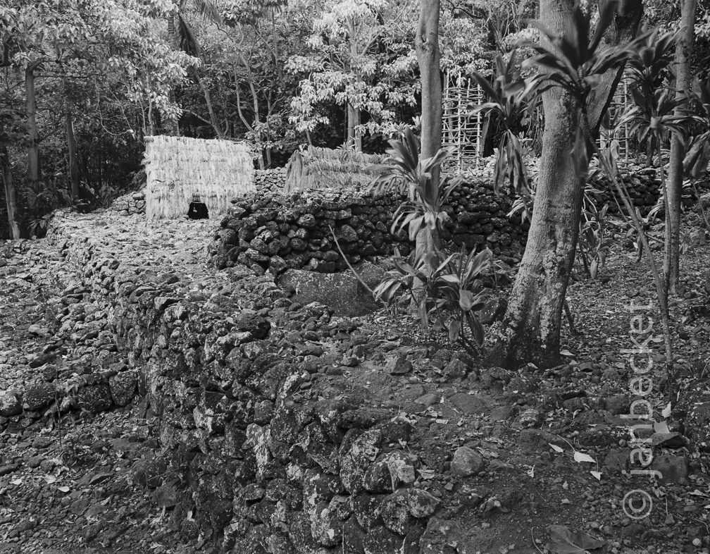 Kāneʻaki 2, 1991